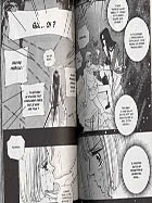 Agrandir la planche de The Queen’s Knight